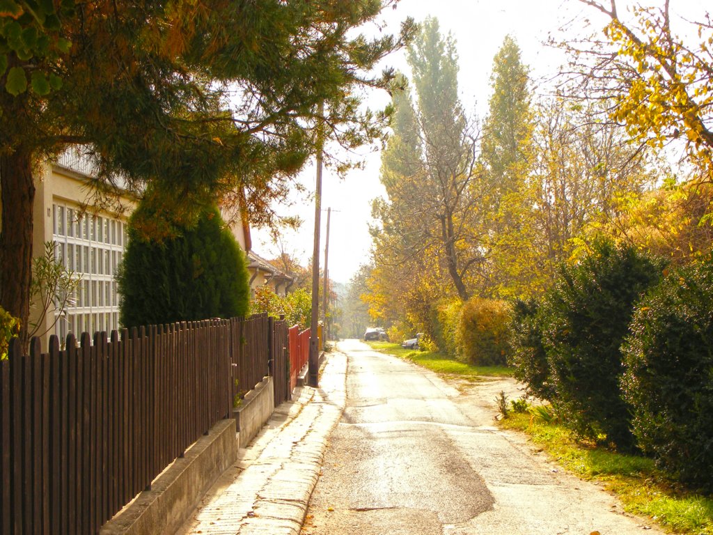 photo47.jpg