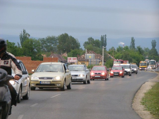 photo61.jpg
