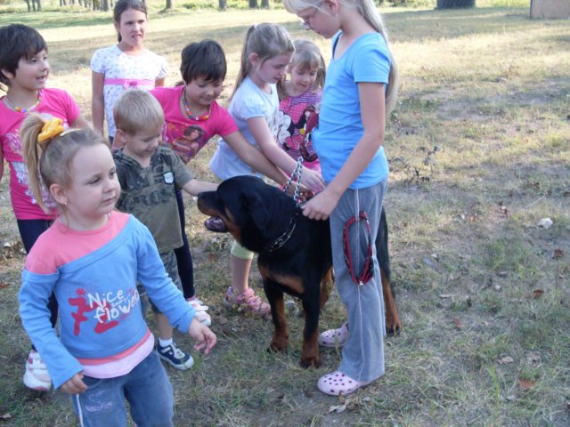 photo39.jpg