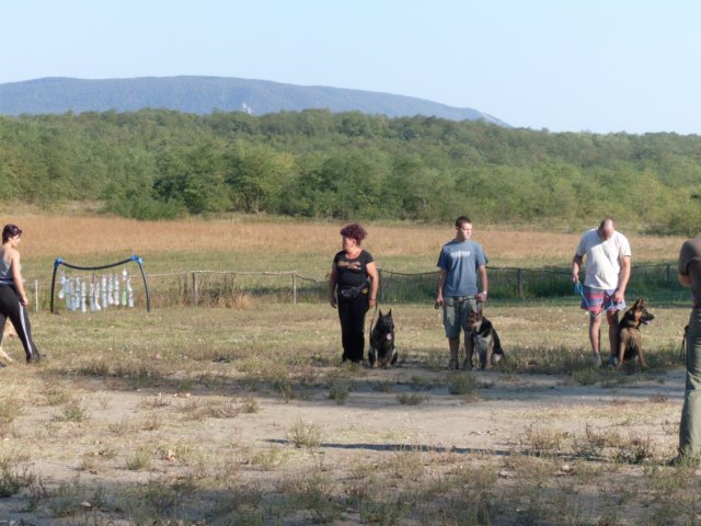 photo42.jpg