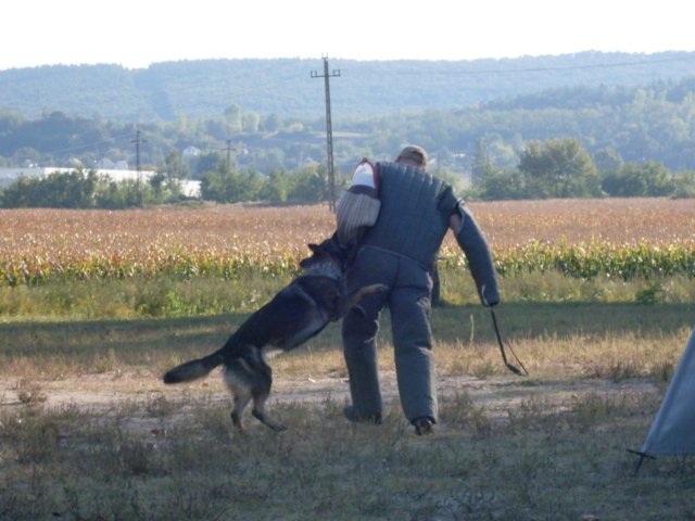 photo46.jpg