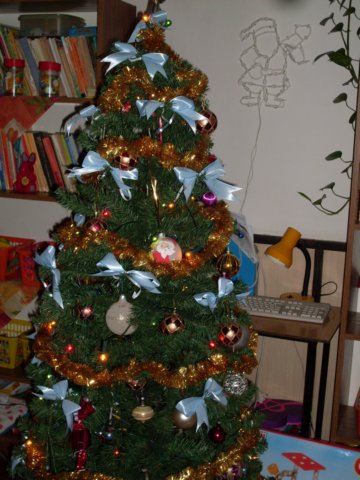 photo104.jpg