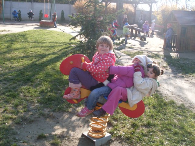 photo61.jpg
