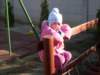 photo79_small.jpg