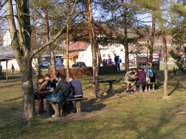 photo26.jpg