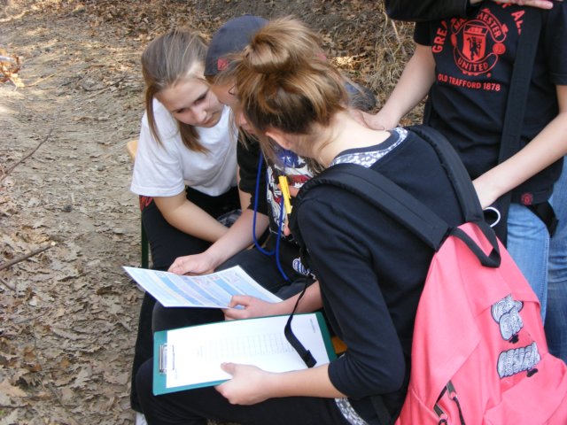 photo56.jpg