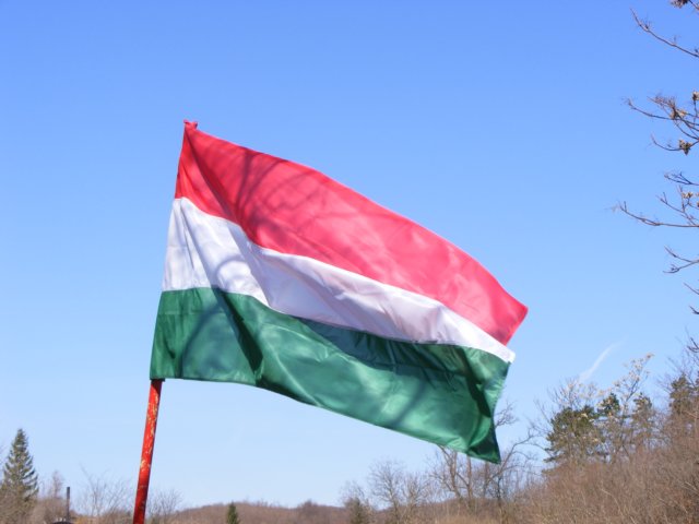 photo1.jpg