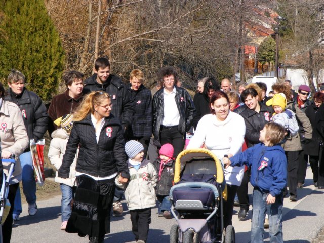 photo23.jpg