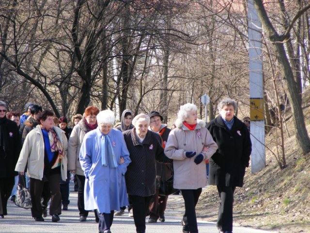 photo36.jpg