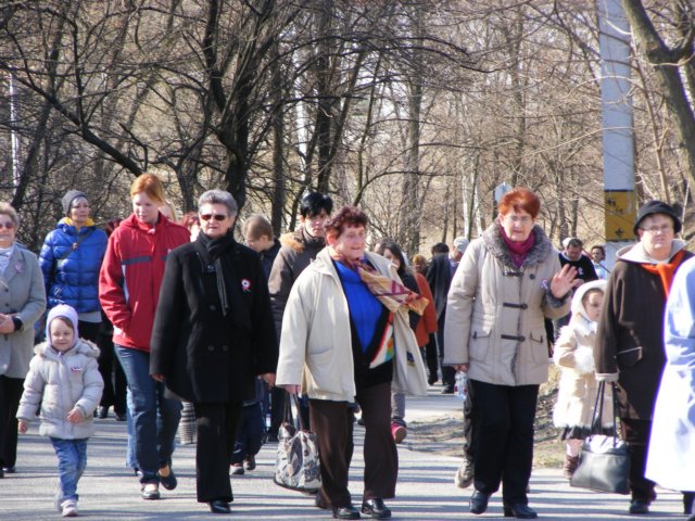 photo37.jpg