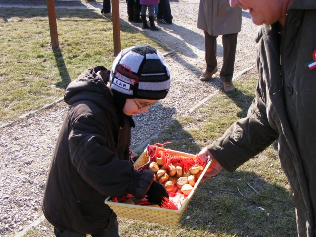 photo4.jpg