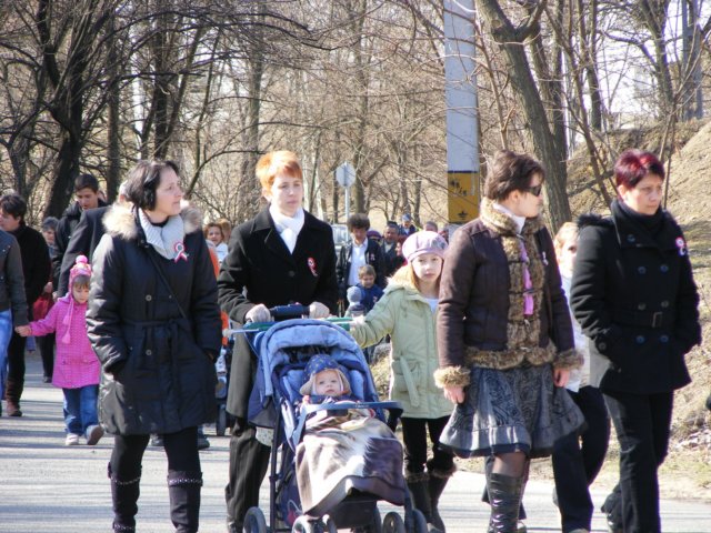 photo40.jpg