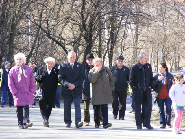 photo48.jpg