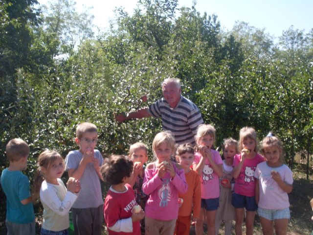 photo11.jpg