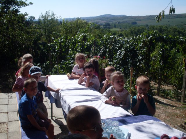 photo15.jpg