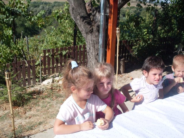 photo17.jpg