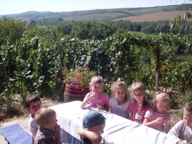 photo23.jpg