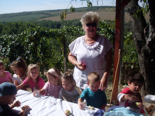 photo26.jpg