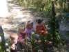 photo32_small.jpg