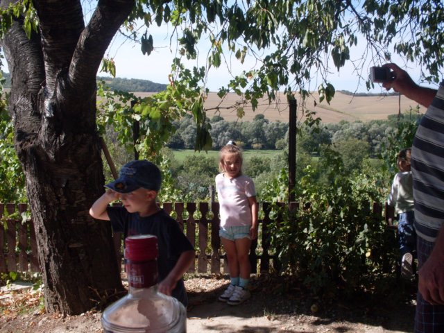 photo39.jpg