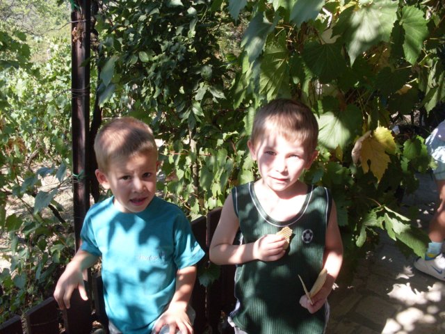 photo48.jpg