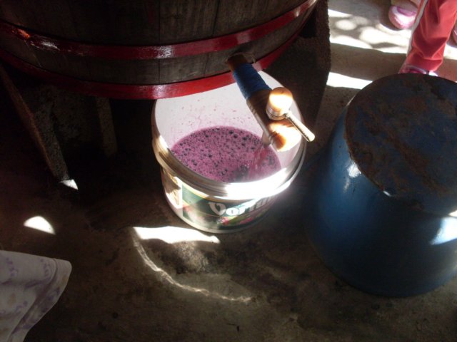 photo55.jpg