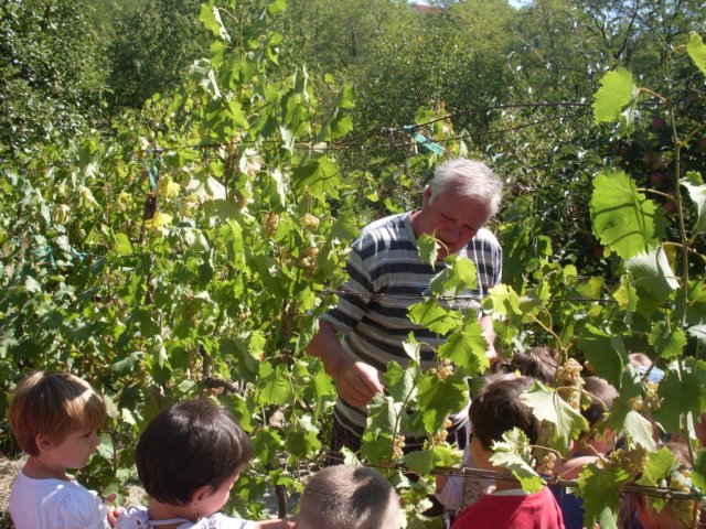 photo58.jpg