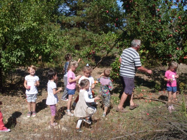 photo60.jpg