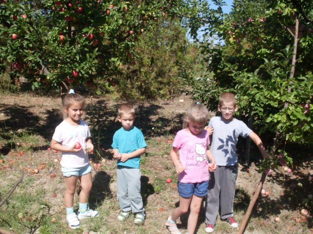 photo61.jpg