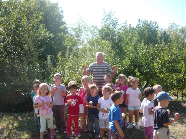 photo63.jpg