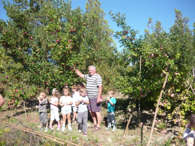 photo64.jpg