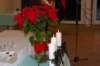 photo169_small.jpg