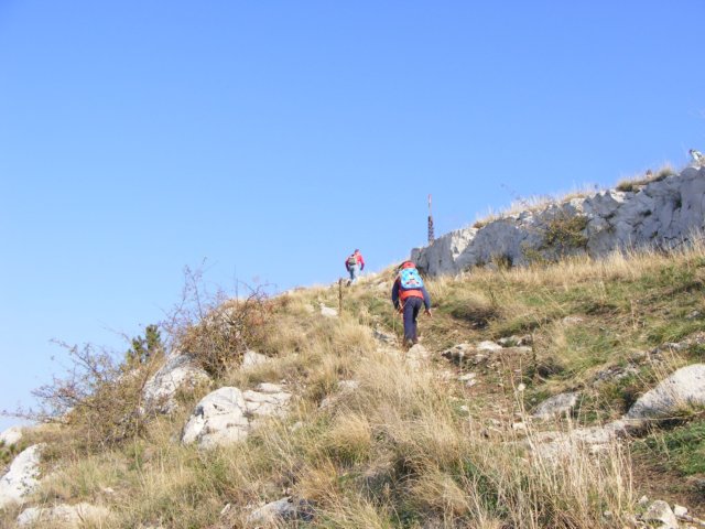 photo34.jpg