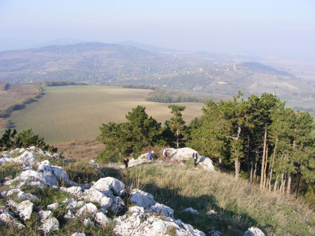 photo38.jpg