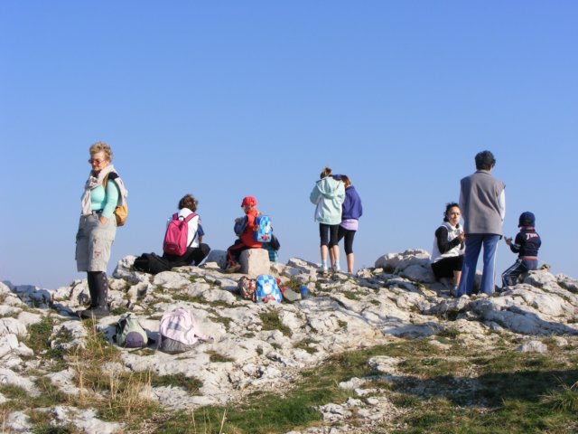 photo44.jpg