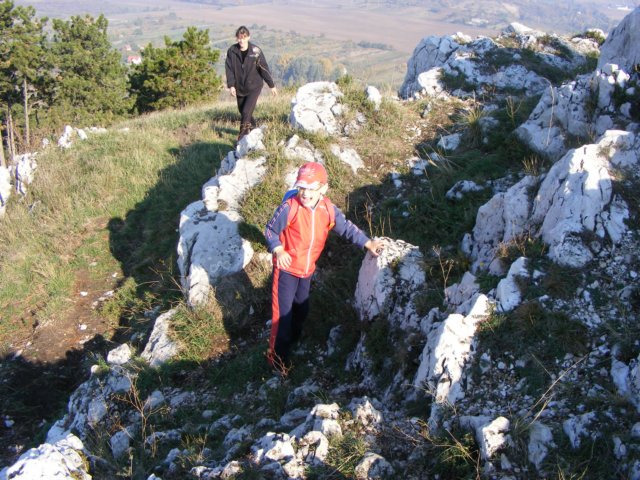 photo47.jpg