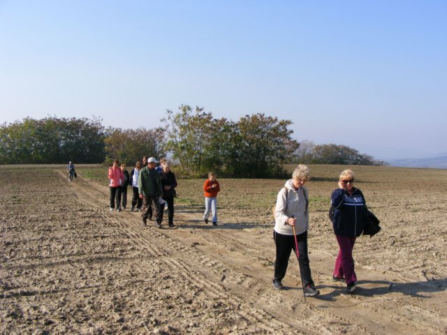photo73.jpg
