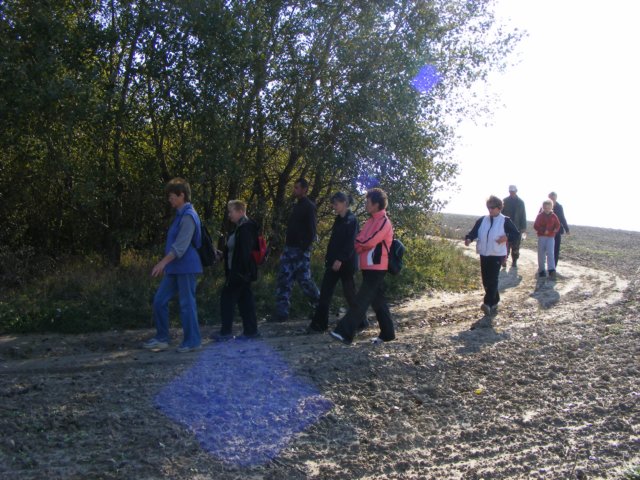 photo74.jpg