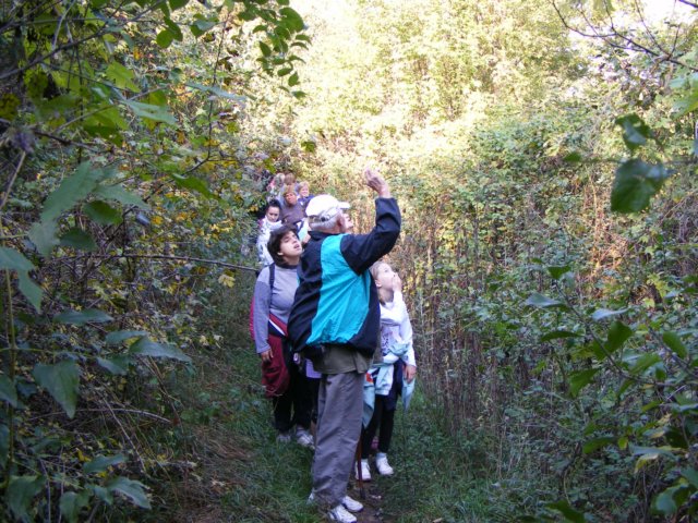 photo76.jpg