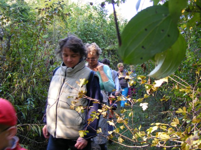 photo78.jpg