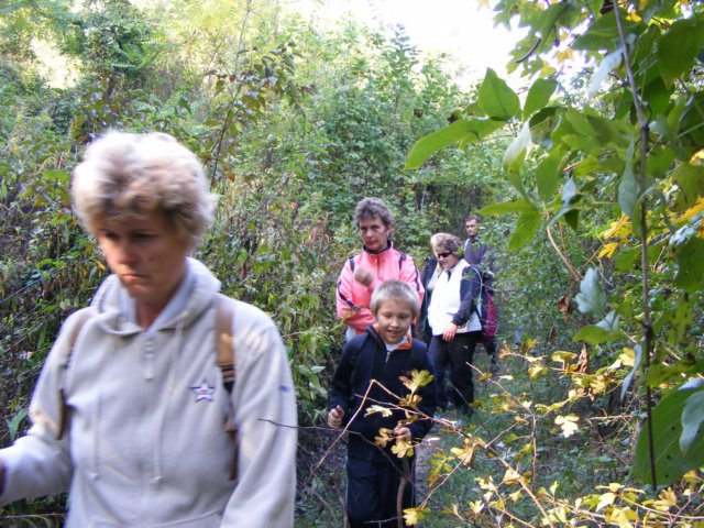 photo80.jpg
