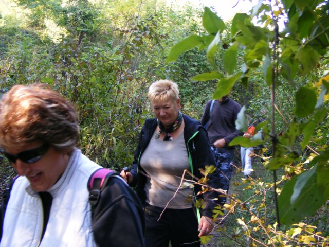 photo81.jpg