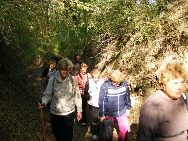 photo85.jpg
