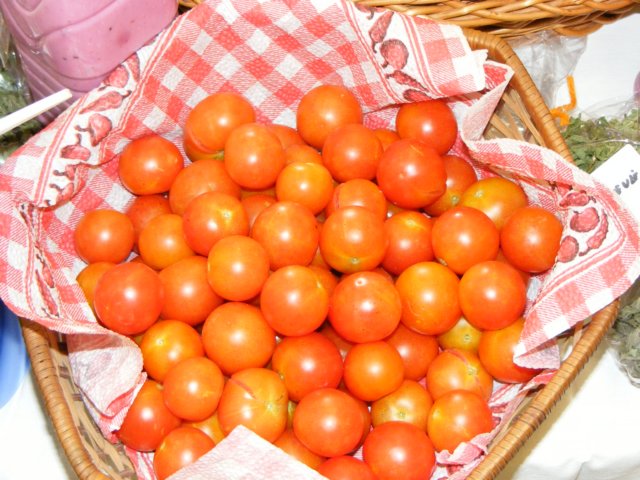 photo64.jpg