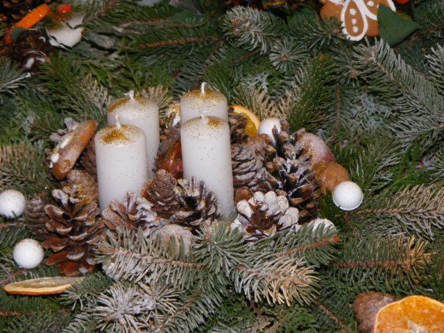 photo58.jpg