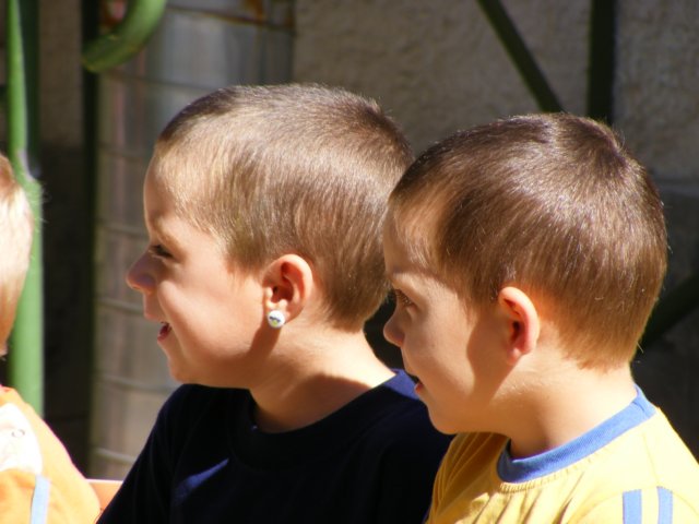 photo46.jpg