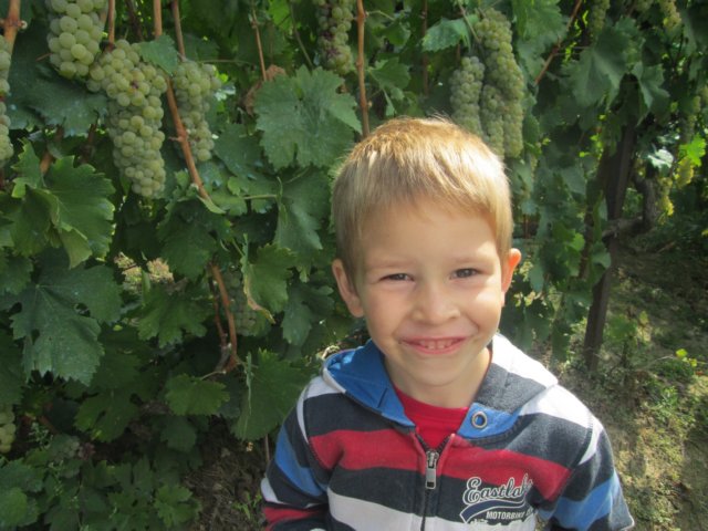 photo38.jpg
