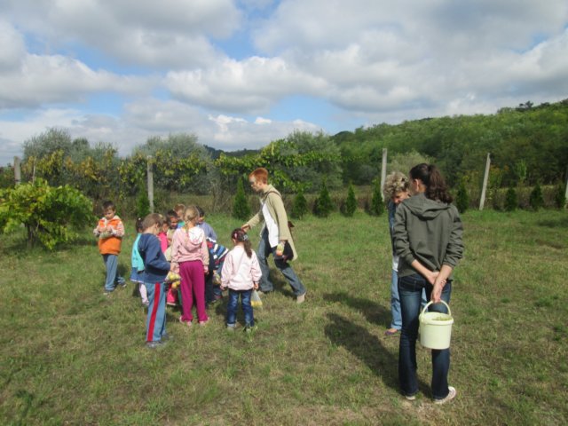 photo41.jpg
