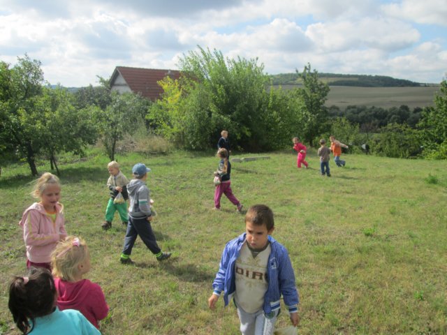 photo44.jpg