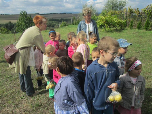 photo47.jpg
